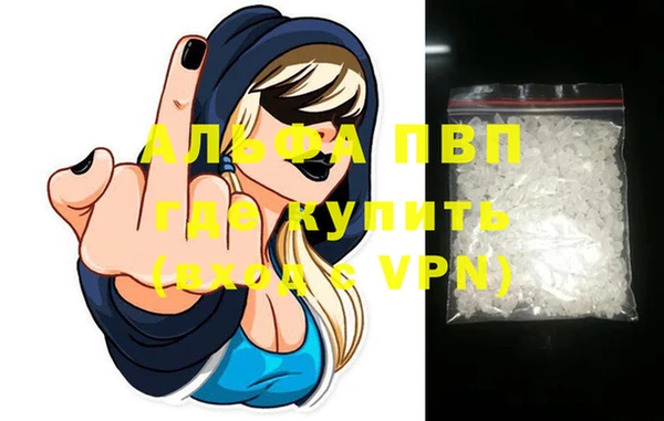 дмт Богданович
