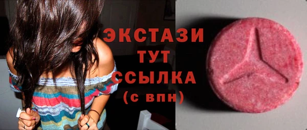 дмт Богданович