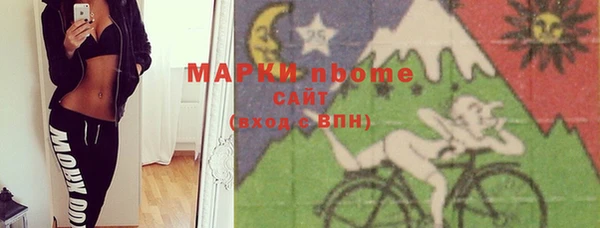дмт Богданович
