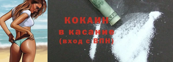 дмт Богданович