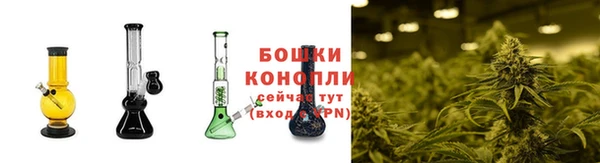 дмт Богданович