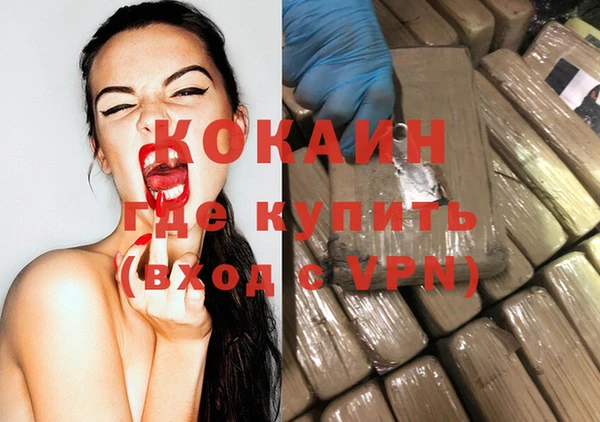 дмт Богданович
