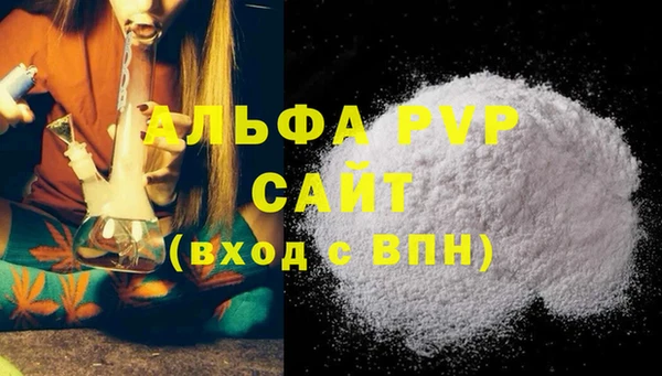дмт Богданович