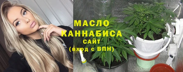дмт Богданович