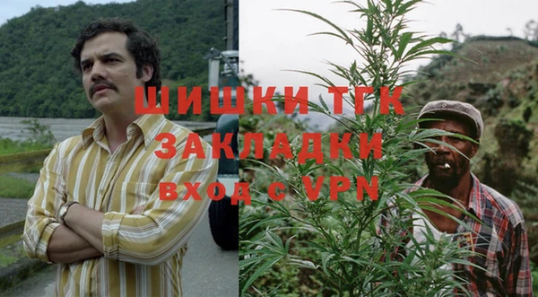 ешки Бронницы